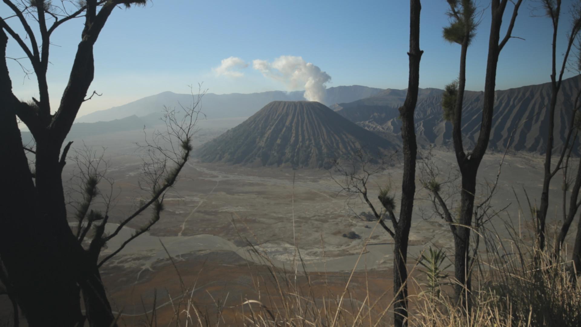 "Traumorte - Java": Totale Vulkan, im Vordergrund ein paar Baumstämme.