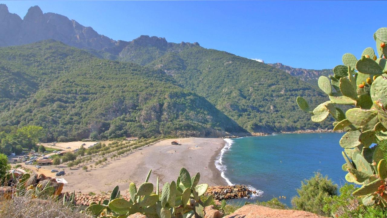 "Traumorte - Korsika": Bucht mit Kaktus im Anschnitt, im Hintergrund bewaldete Berge.