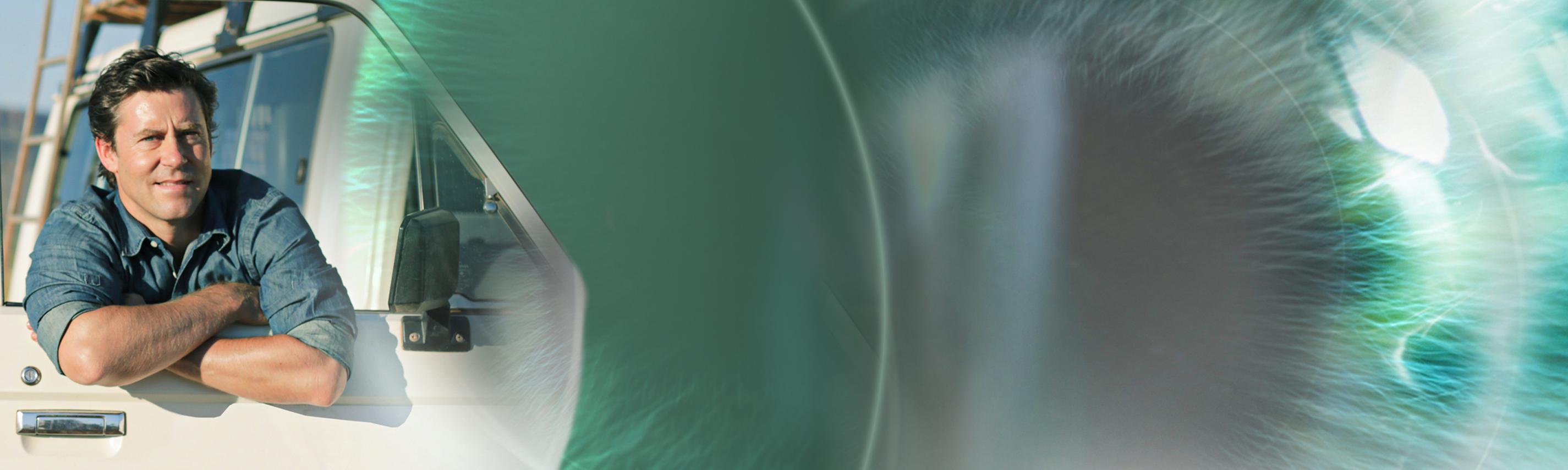 Hintergrund