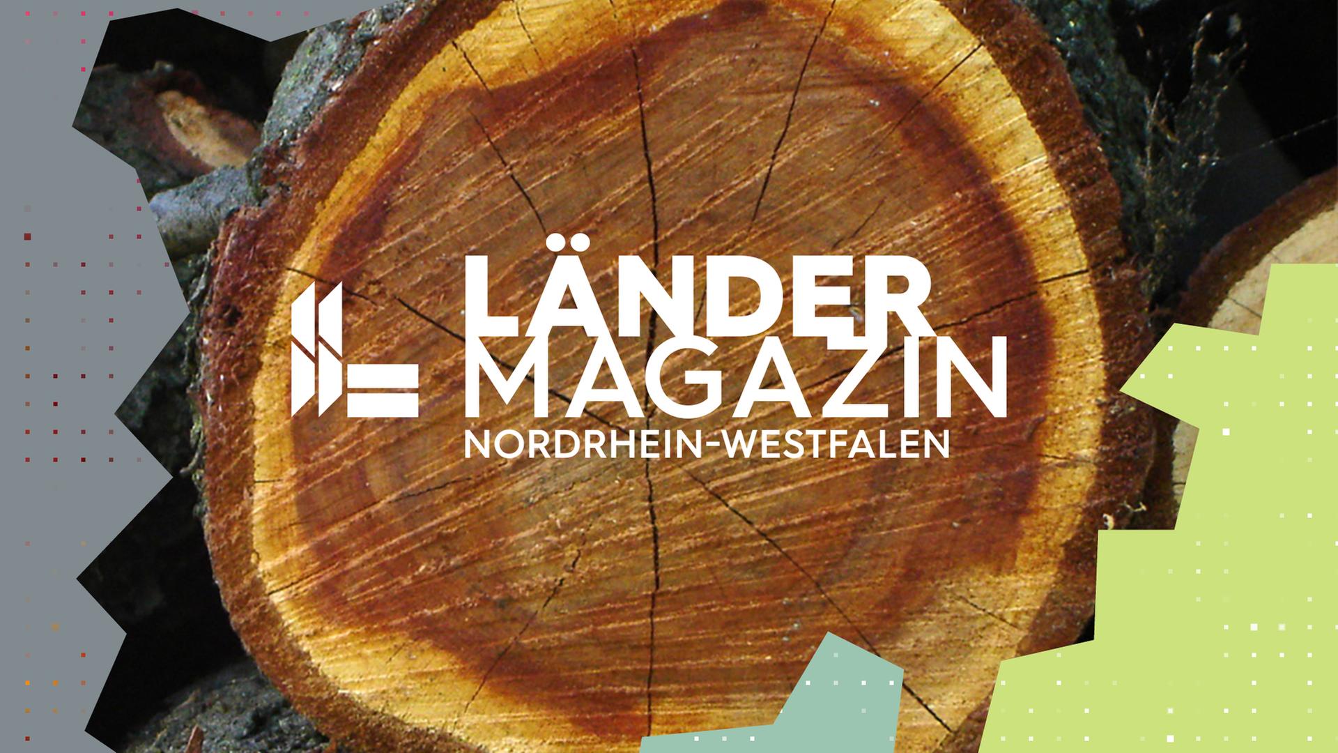 Ein aufgeschnittener Baum mit Rissen.