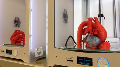 3D-Druck: In einem großen Kasten mit Glasfront befindet sich ein gedrucktes Modell eines menschlichen Herzens.