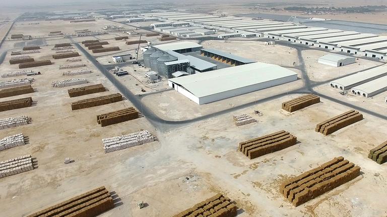 Vogelperspektive auf die Milchfarm Baladna während Bauarbeiten.