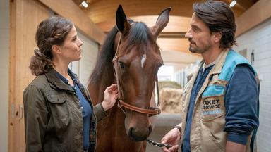 Eine Frau und ein Mann neben einem Pferd.