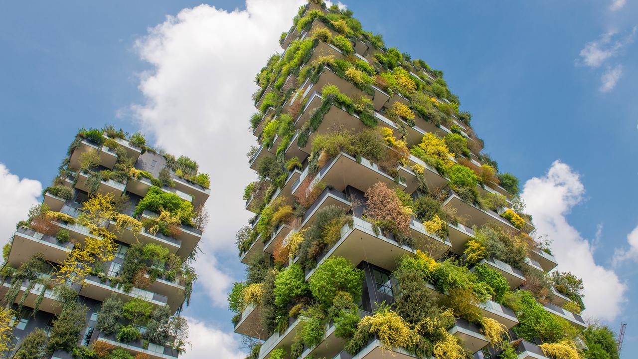 Nachhaltigkeit durch grüne Fassaden? - 3sat-Mediathek
