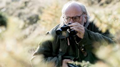 Mann mit Fernglas im Grünen, Gewehr in der Hand