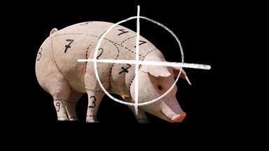 Symbolbild: Ein Schwein, auf dessen Körper verschiedene Fleischstellen markiert sind, ist durchgestrichen