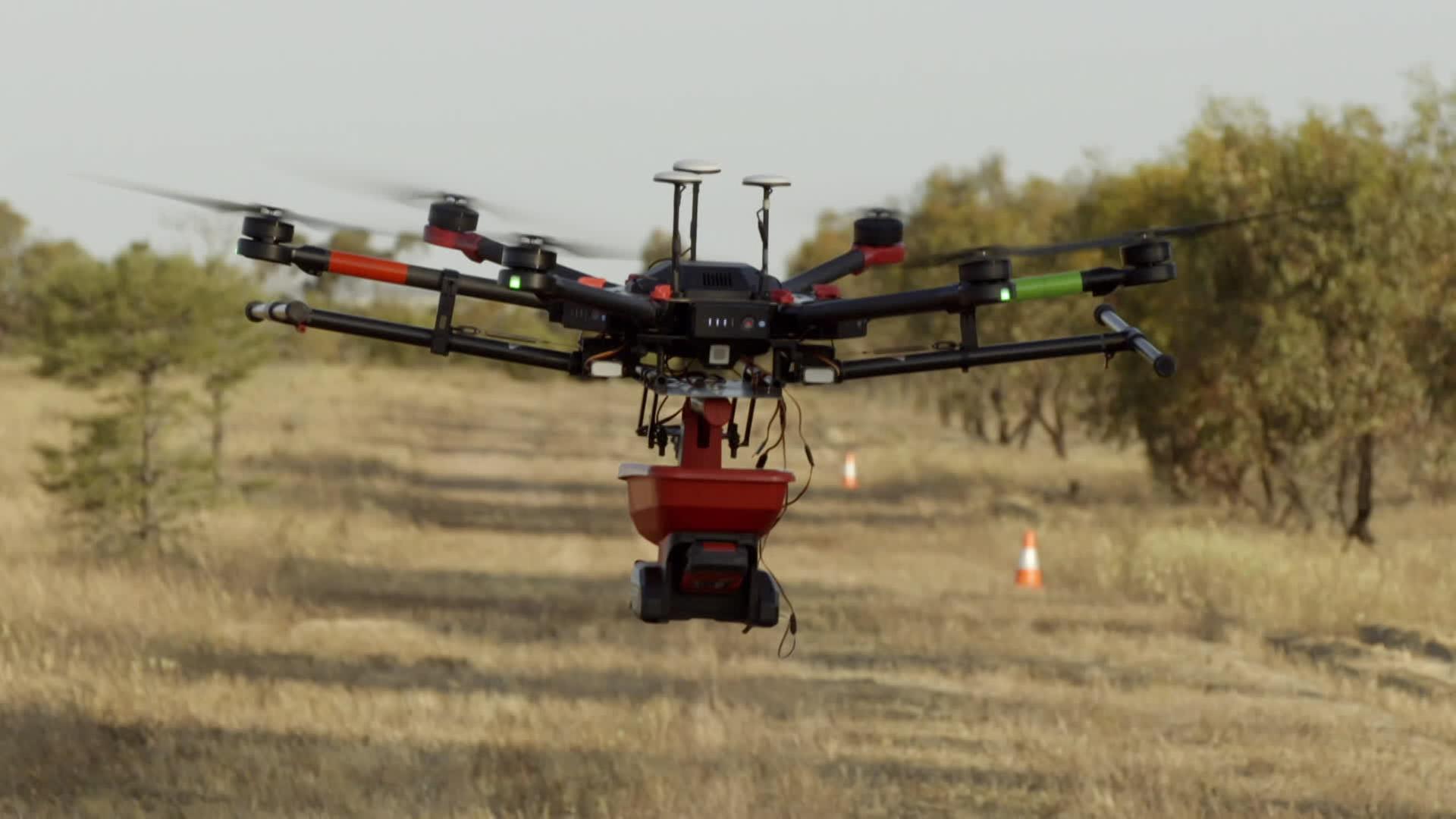 Eine Drohne vor einem Waldstück in Australien