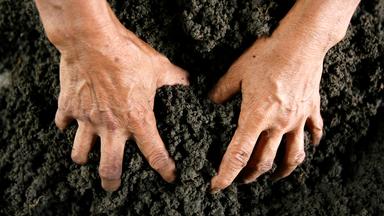 Hände, die sich in Erde graben