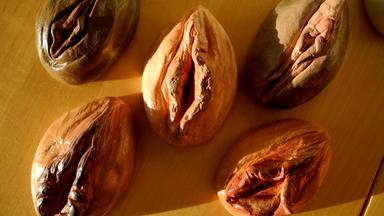 Vulva Modelle