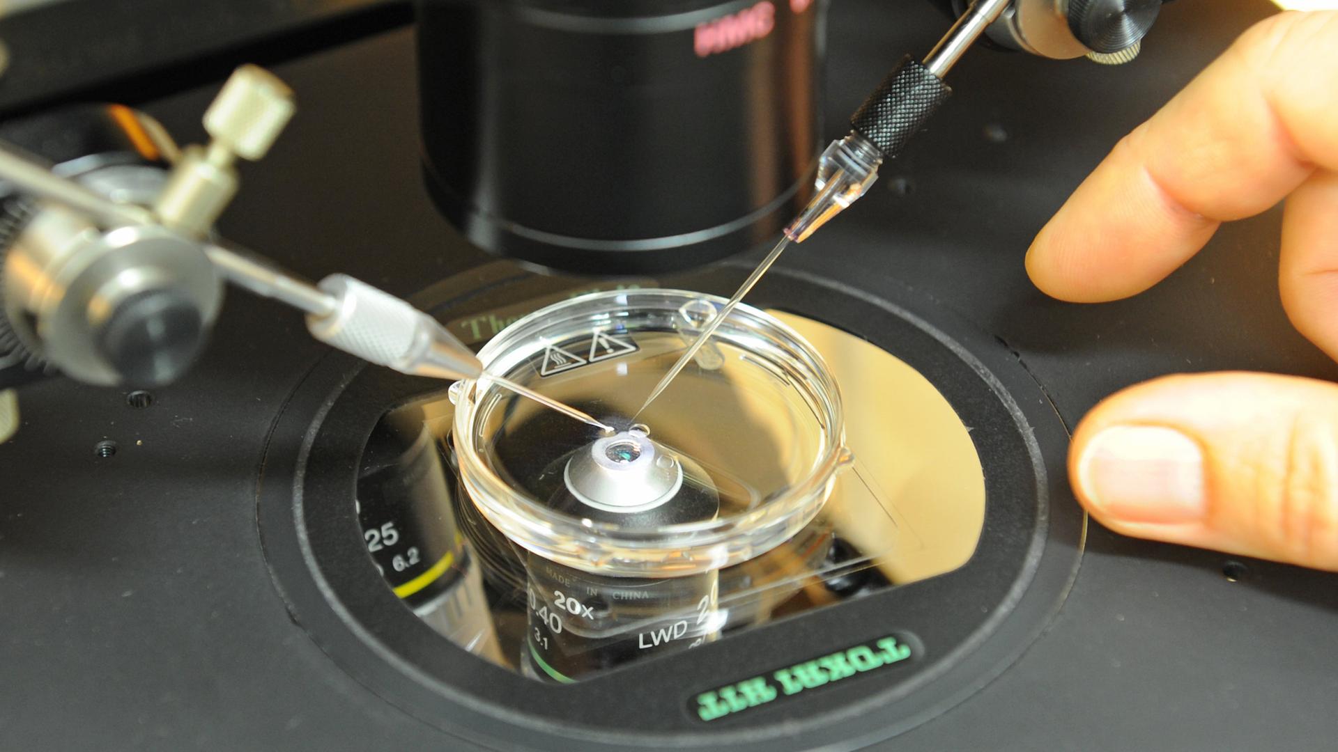 Reproduktionsmedizin