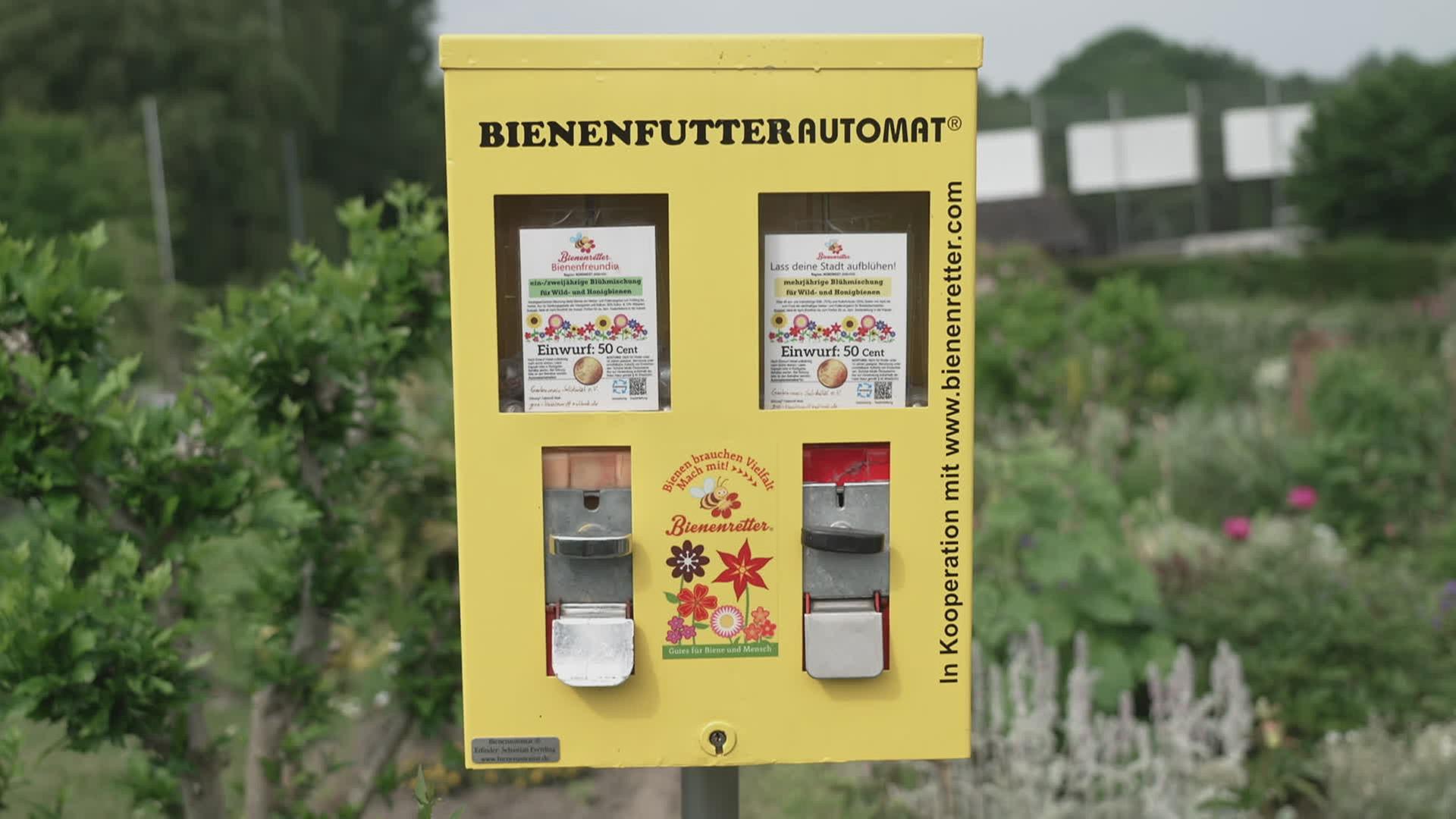 Bienenautomat