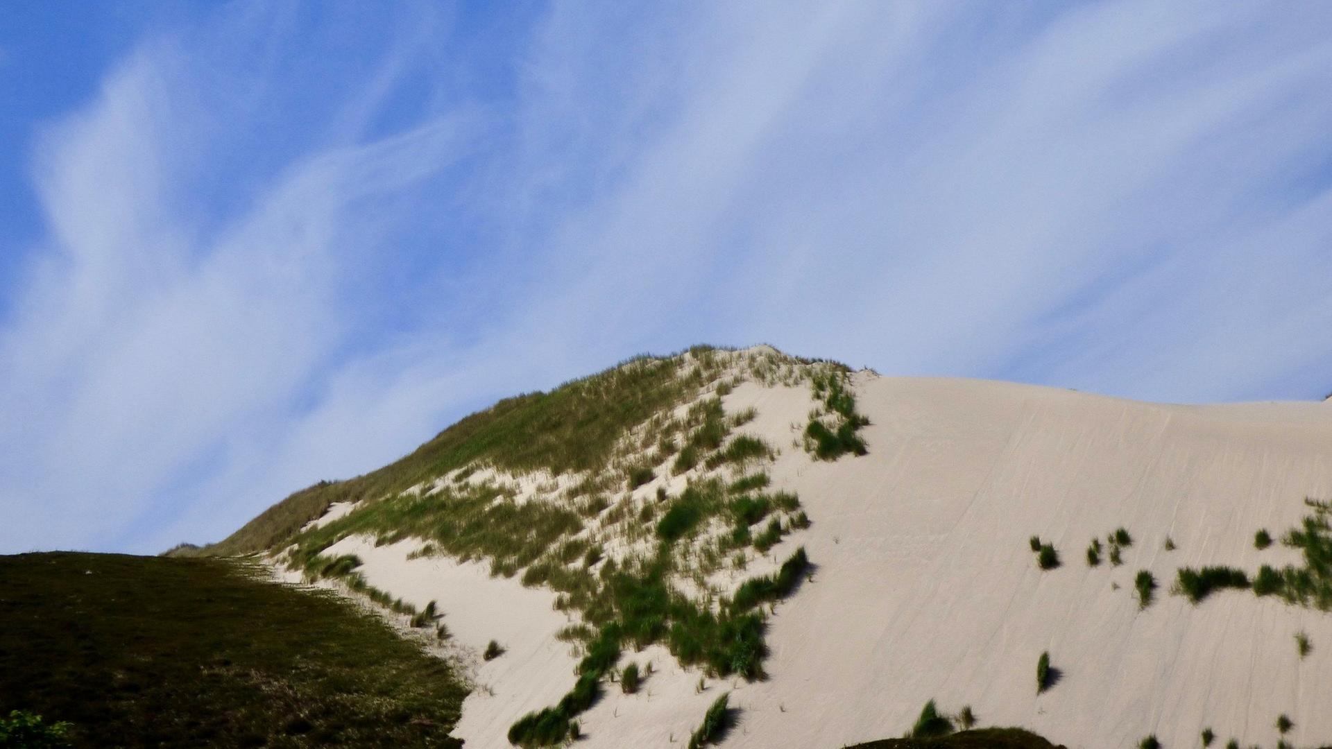 Wanderdüne auf Sylt