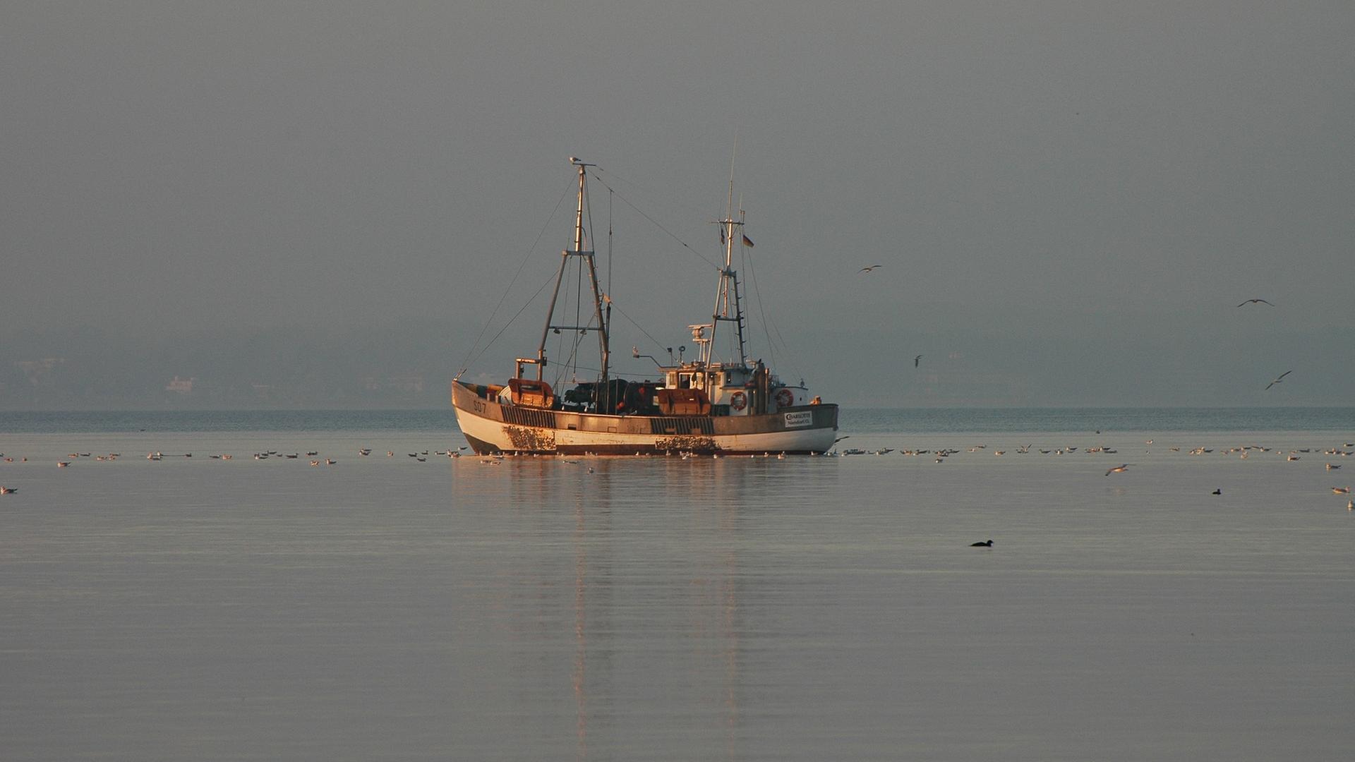 Fischerboot auf dem Meer