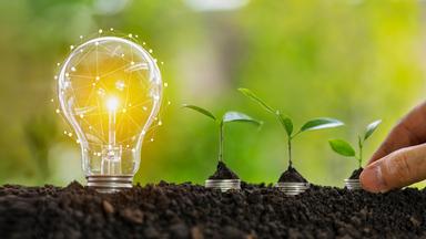 Eine helle Glühbirne neben grünen Setzlingen und Geldmünzen