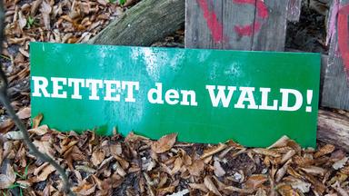 Schild mit Aufschrift "Rettet den Wald"