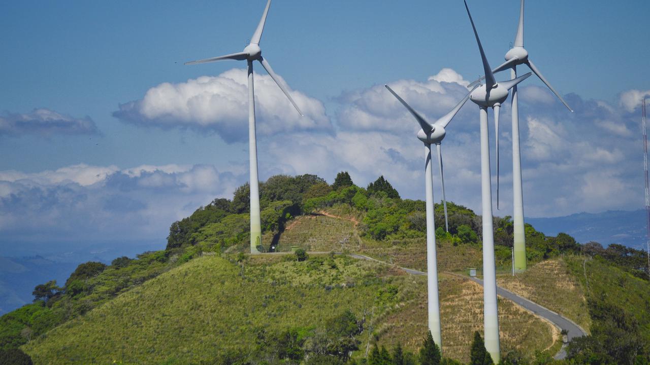 Windräder auf einem bewaldeten Hügel