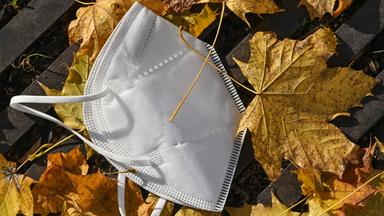 Maske liegt auf Herbstlaub