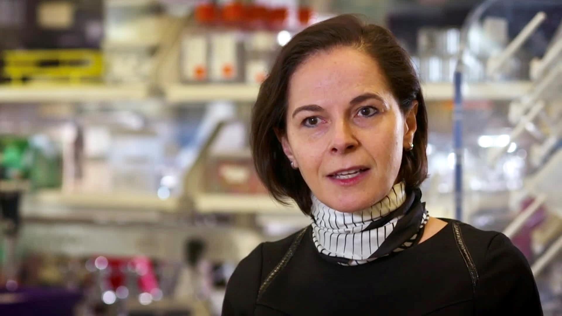 Immunologin Yasmin Belkaid