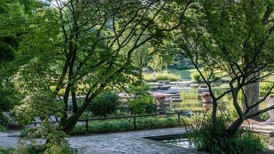 Platz mit Bäumen zum Entspannen