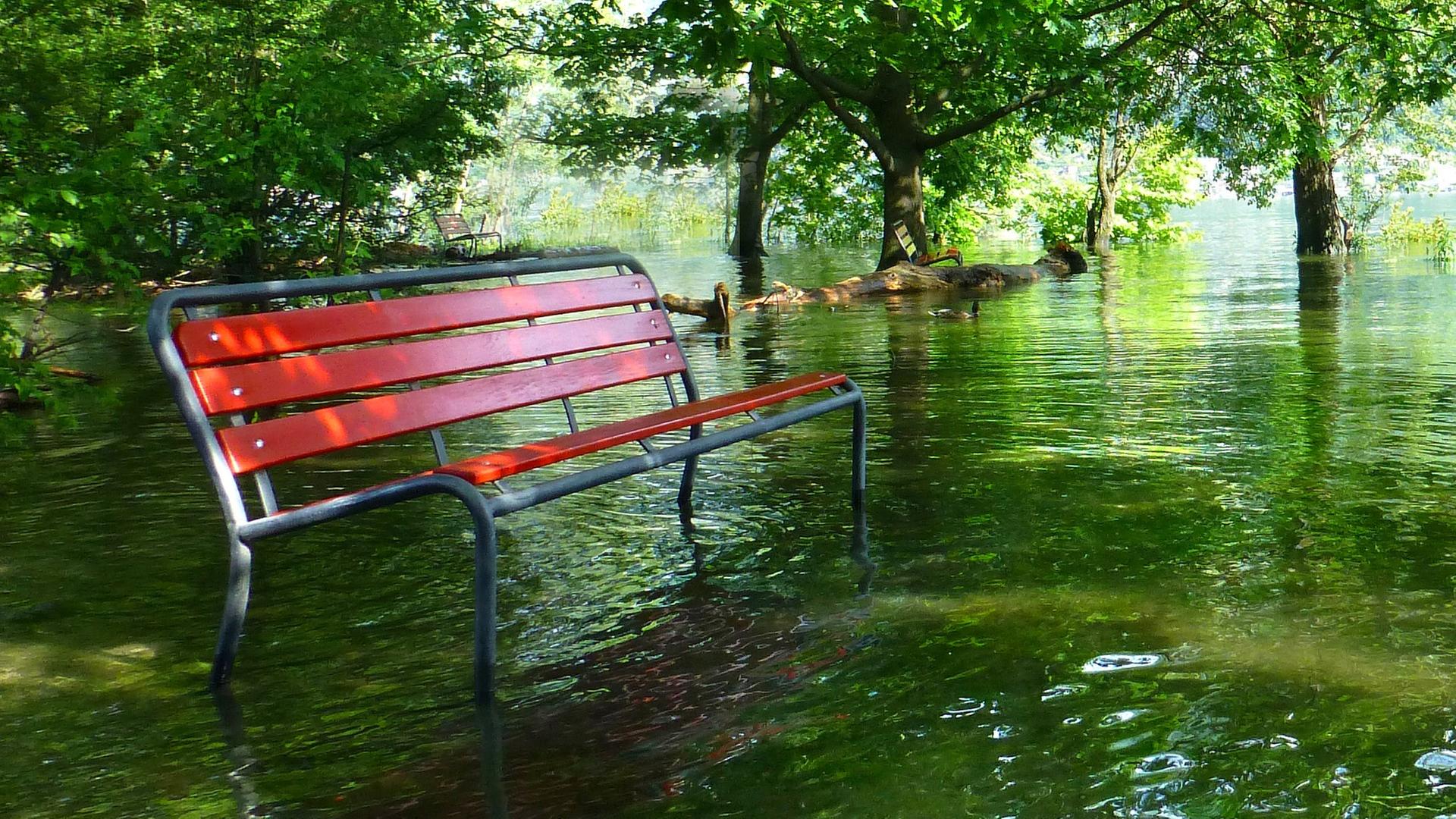 Rote Bank steht im Wasser