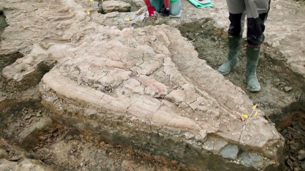 Fossil Fund / Ausgrabung