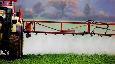 Traktor versprüht Pestizide