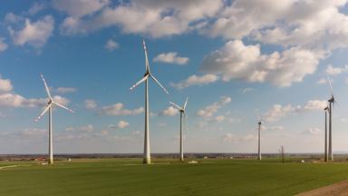 WIndräder auf einer Wiese