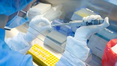 Grafik: Krebsgeschwür udn DNA Strang