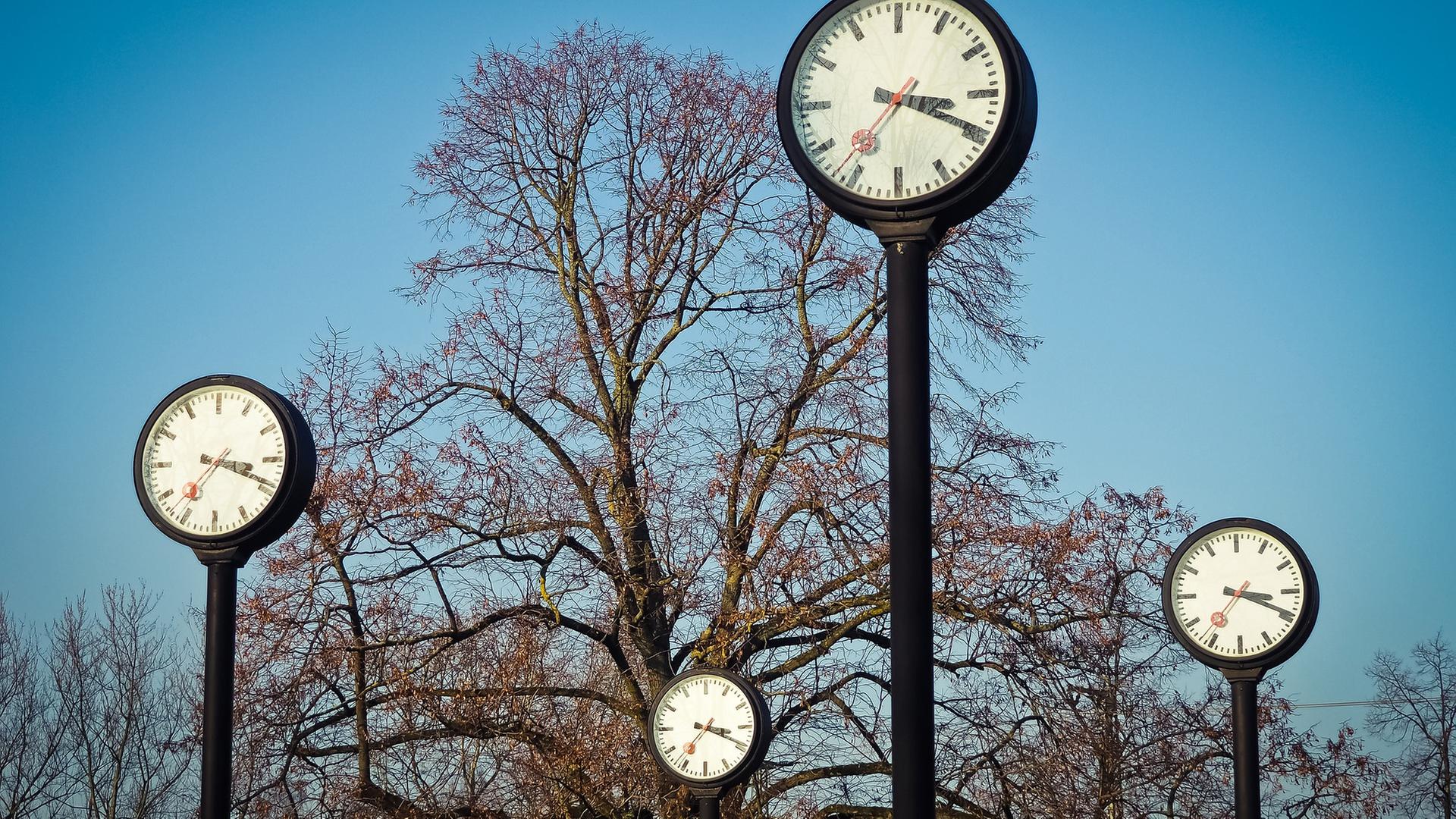 Mehrere Uhren von Bäumen