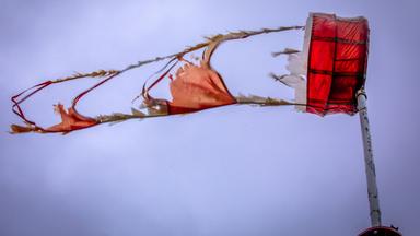 Umgestürzter Baum blockiert eine Straße