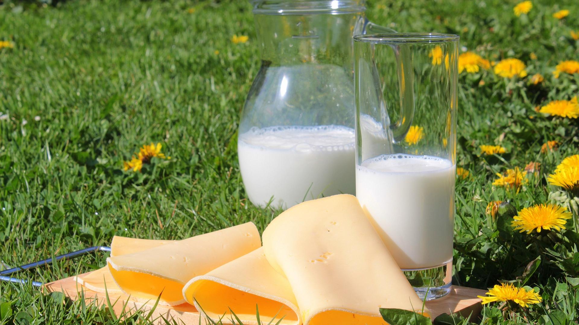 Glas mit Milch und Käse auf einer Wiese