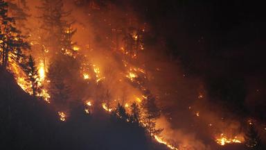 Waldbrand in Tirol