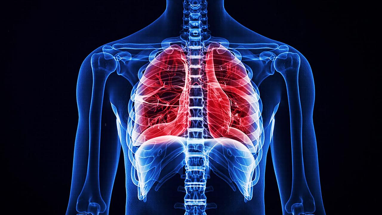 Mensch, Grafik Innenansicht