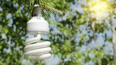 Energiesparlampe hängt an einem Ast