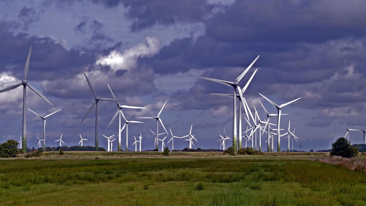 Windkrafträder auf einem Feld