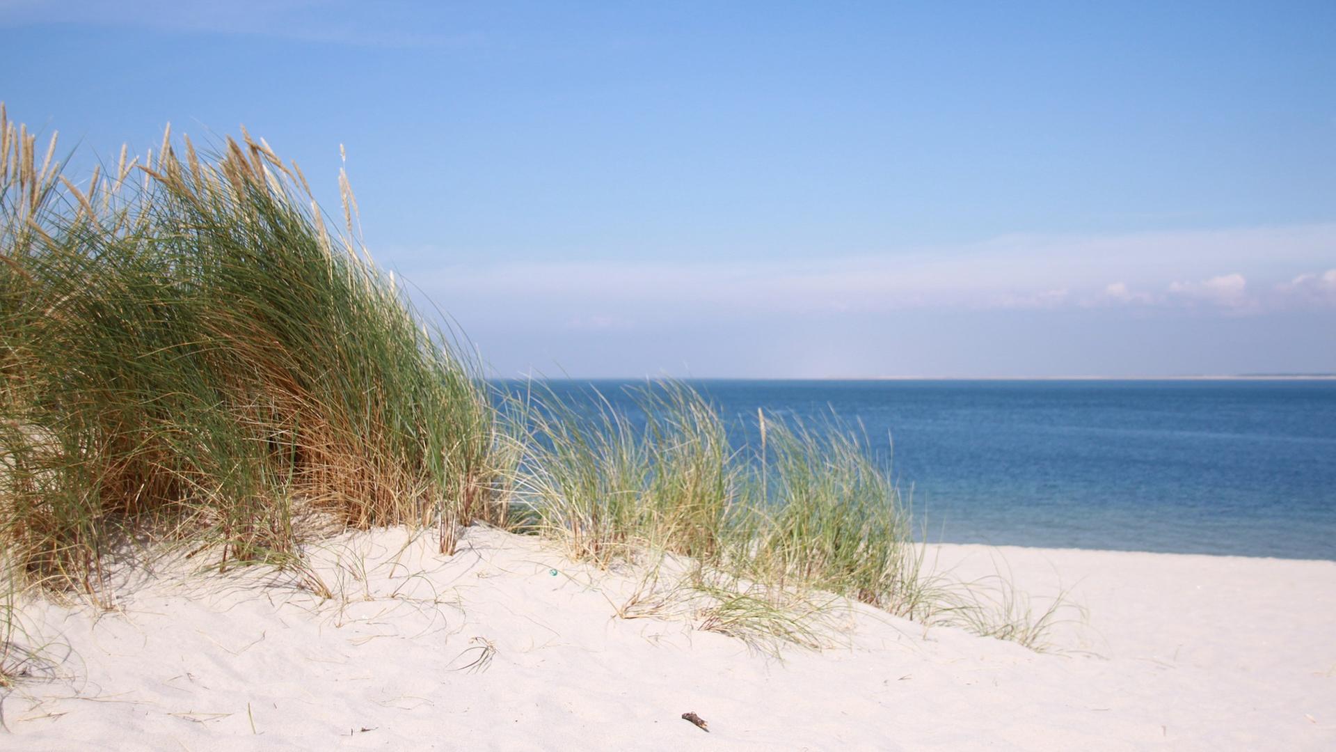 Dünen auf Sylt