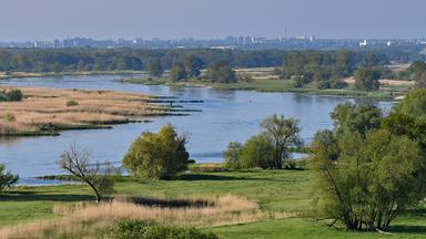 Oder: Blick auf Flusslandschaft