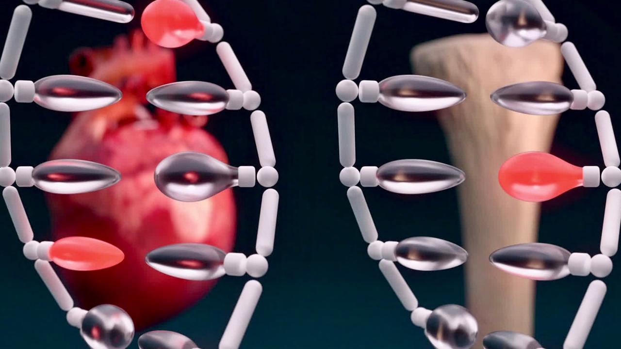 Animation Genom