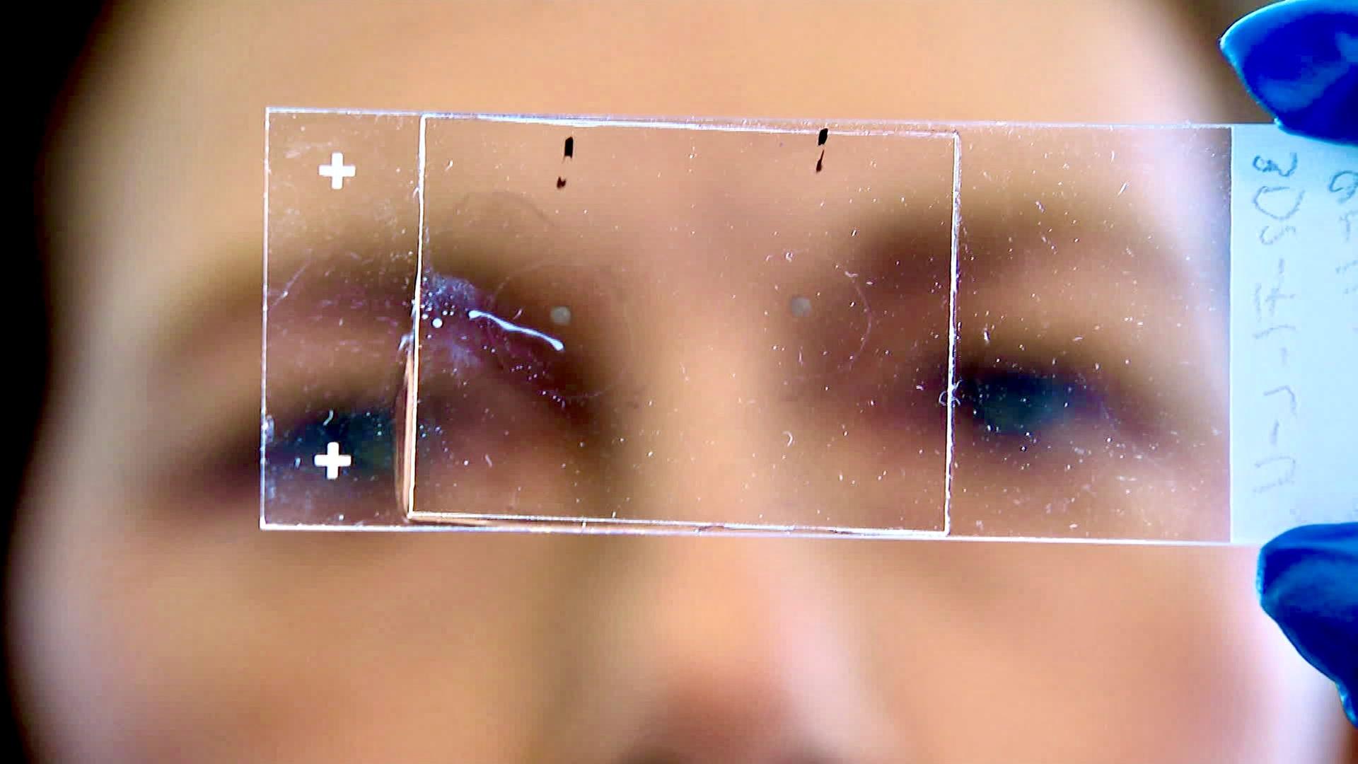 Frau, nah, hält Gewebeprobe auf Glas vor ihre Augen