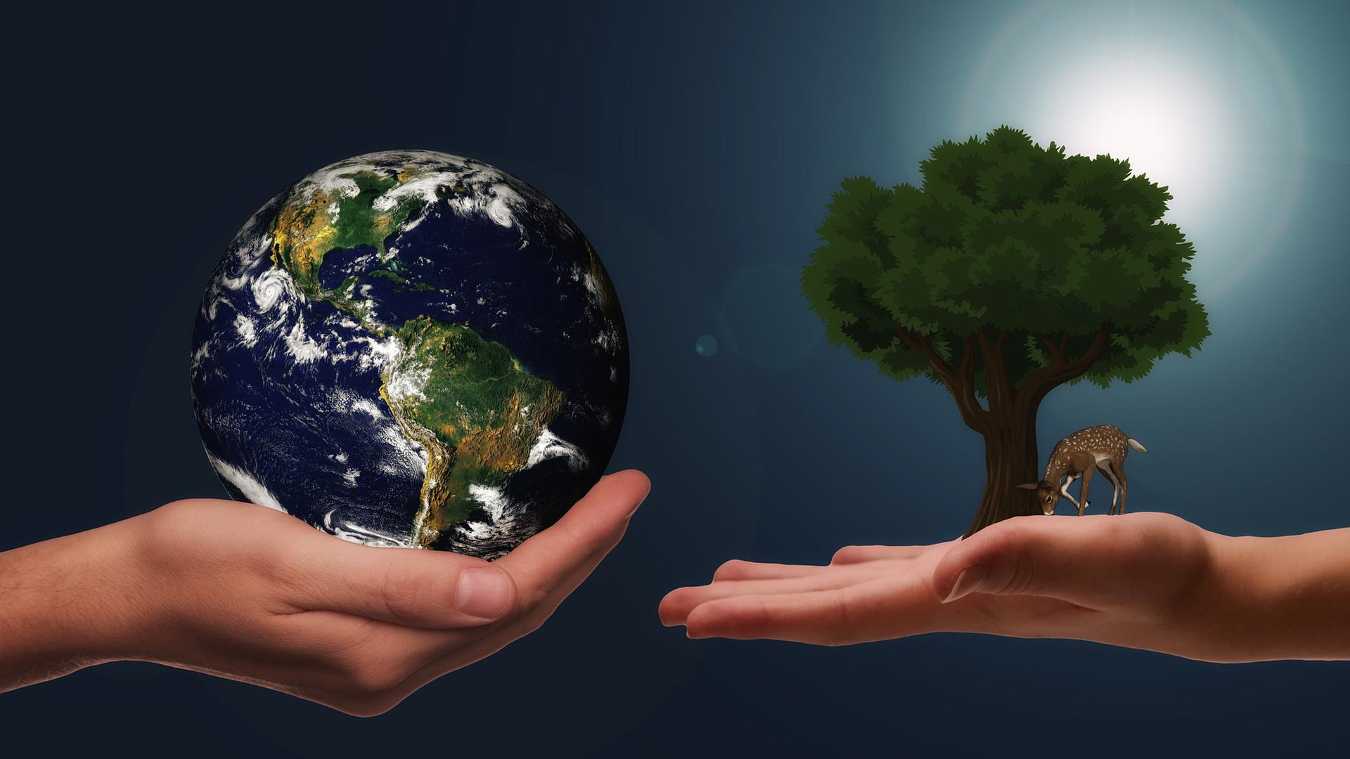 Symbolisch für Klimaschutz: Hände halten die Erde und einen Baum