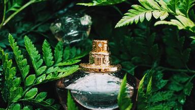 "makro: Parfüm - Der große Duftraub": In der Mitte des Bildes ein grüner Parfumflakon, der von Farnzweigen umgeben ist.