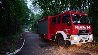 Feuerwehr in Einsatz bei Waldbrand