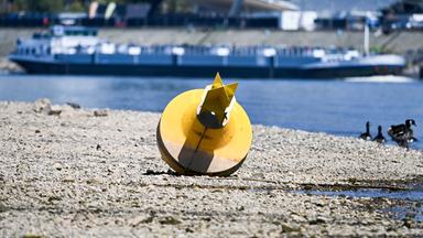 NIedrigwasser am Rhein