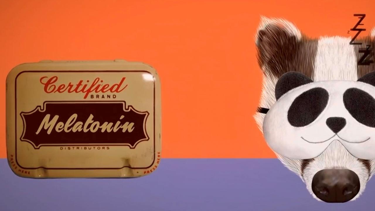 Animaton zum Thema Schlaf