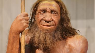 Die Nachbildung eines Neandertalers  