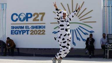 Wand mit dem Logo der  Klimakonferenz COP 27.  Aktivist im gepunkteten Overall im Vodergrund