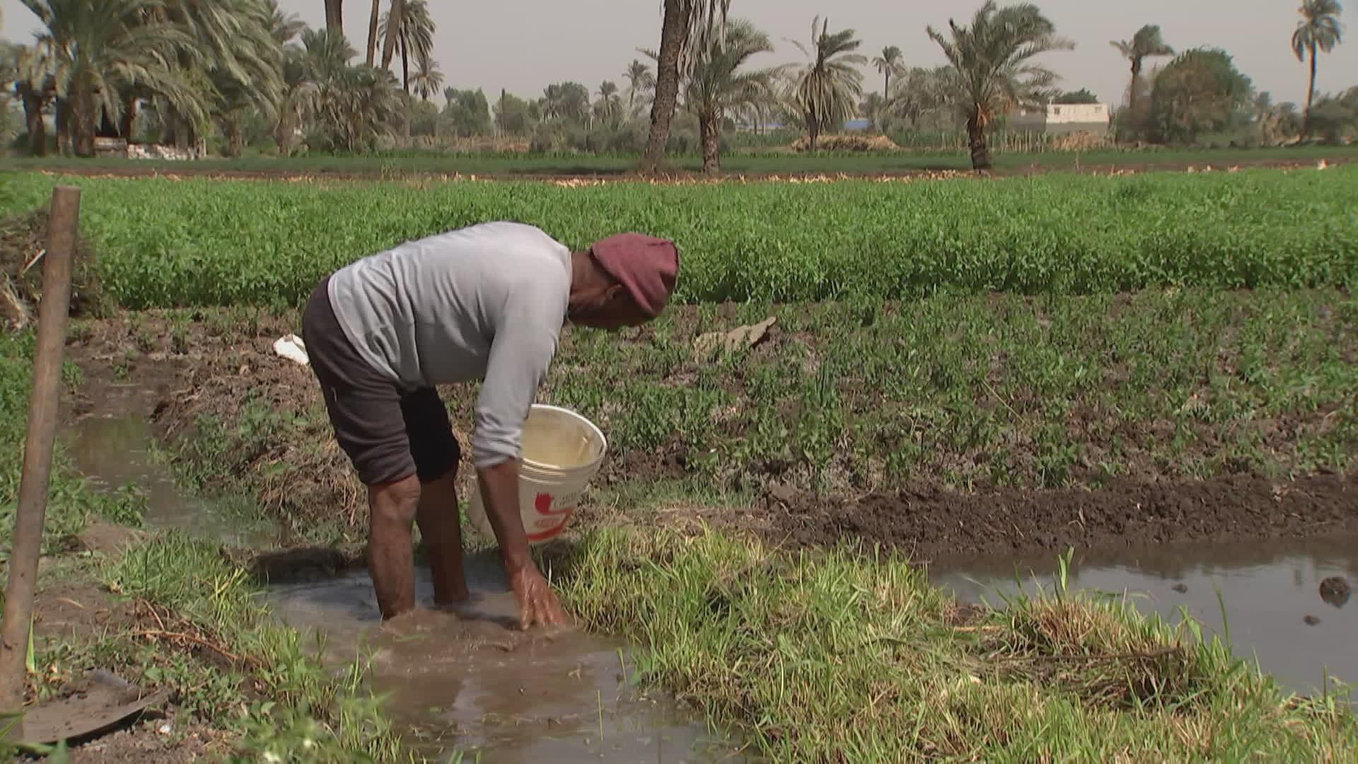 Bauer am Nil bei der Bestellung eines Feldes