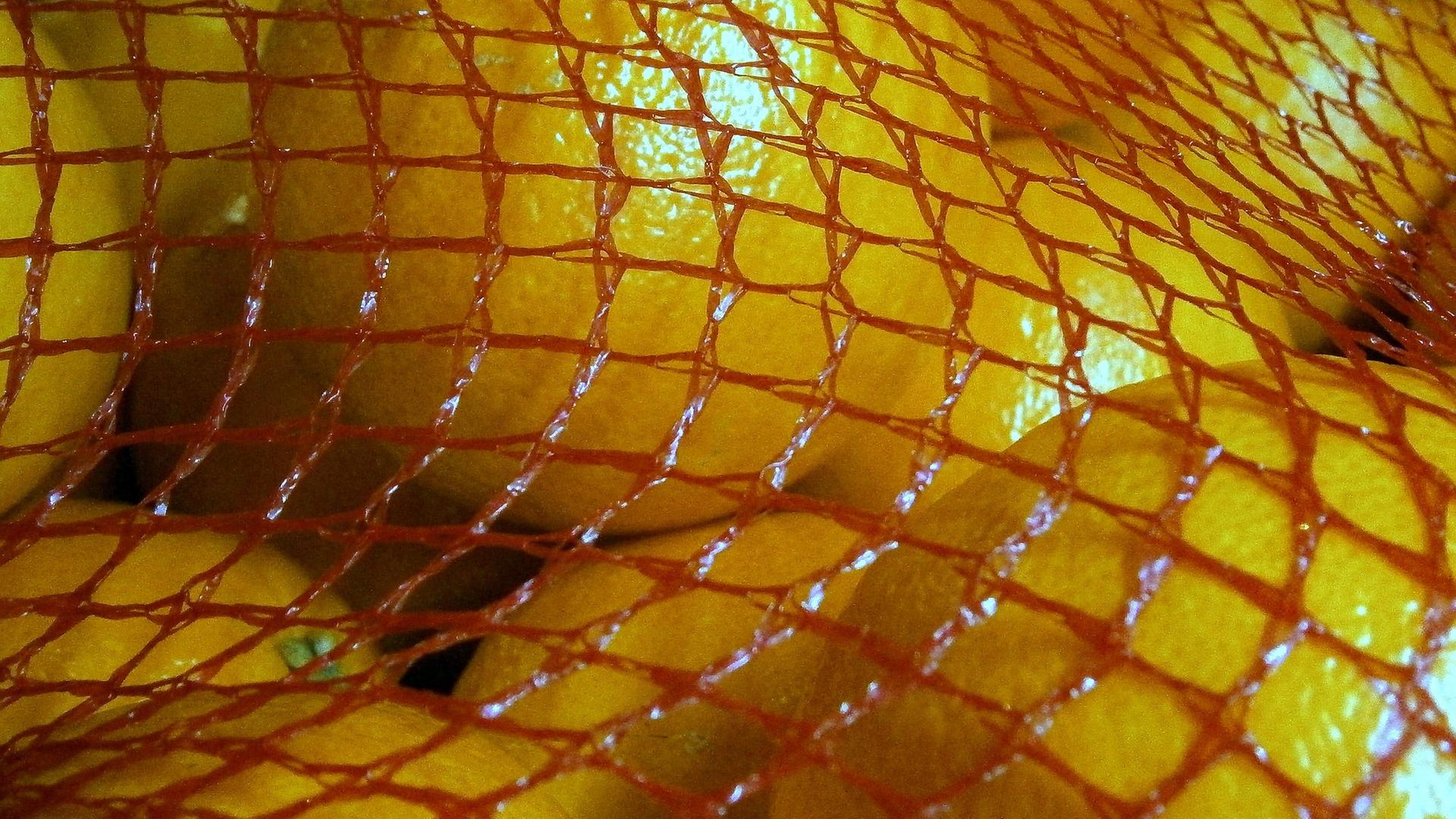 Animation Orangen im Netz