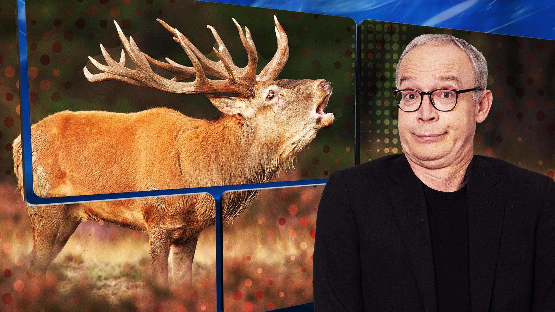 Der Moderator vor einer Videowand, auf der ein röhrender Hirsch zu sehen ist.