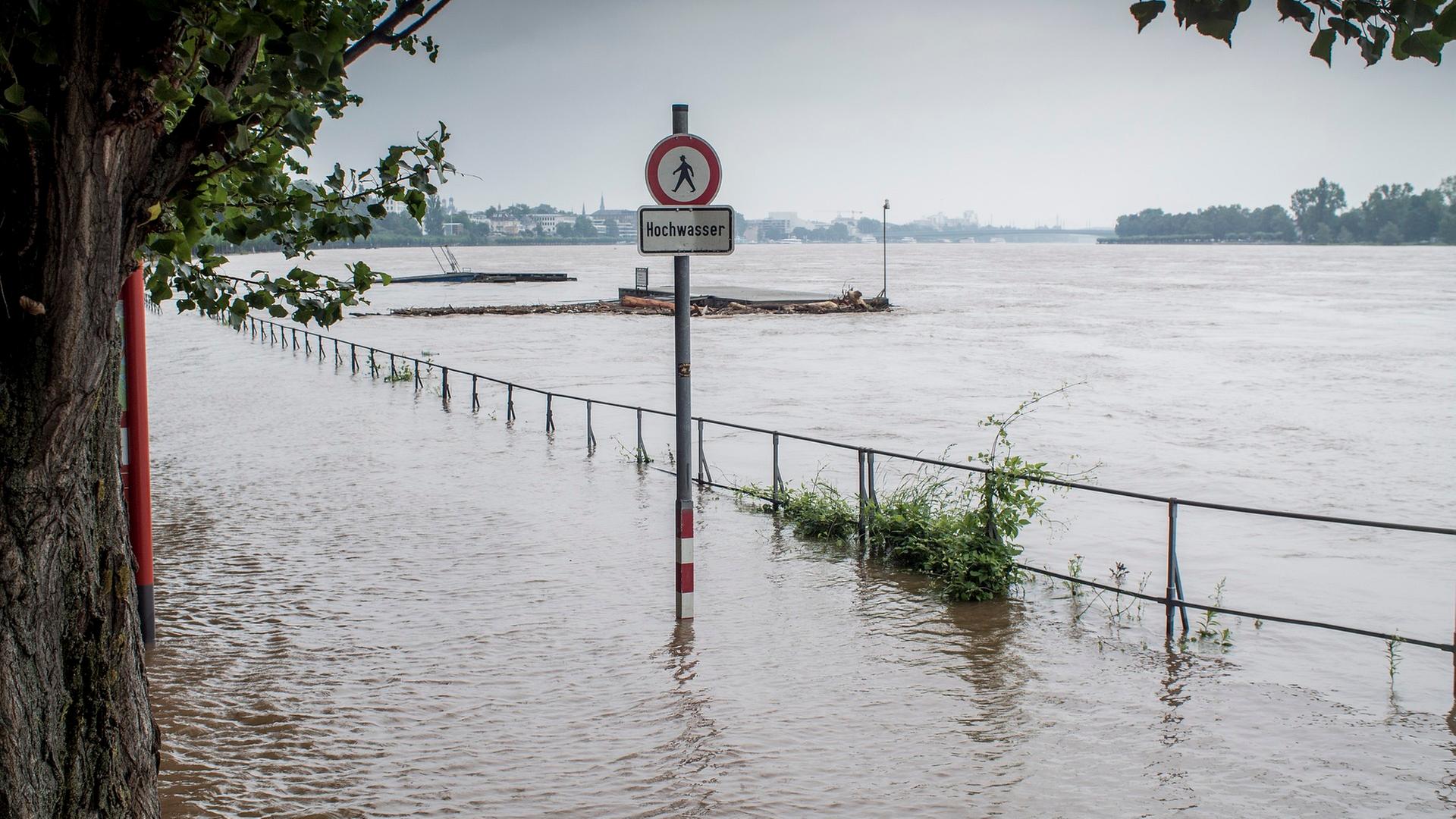 Überschwemmte Straße, in der MItte ein Schild